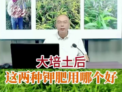 大培土后这两种钾肥用哪个好？ ()