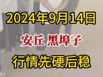 9月14日下午安丘黑埠子市场（先硬后稳） ()