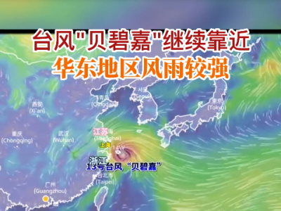台风“贝碧嘉”继续靠近华东地区 风雨较强 ()