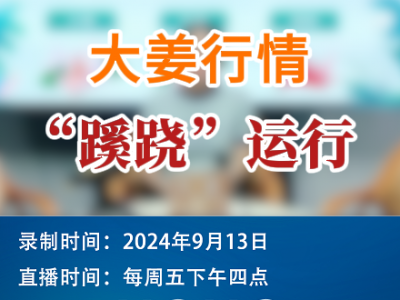 农情漫谈：大姜行情“蹊跷”运行 ()
