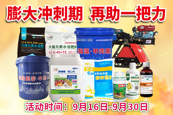 膨大冲刺期 再助一把力 ()