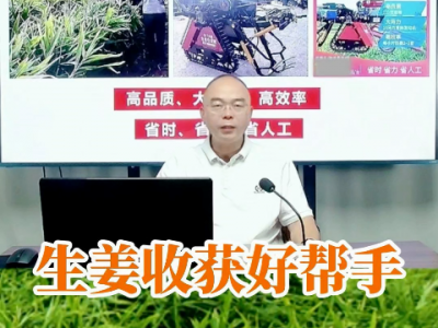 生姜收获好帮手 ()