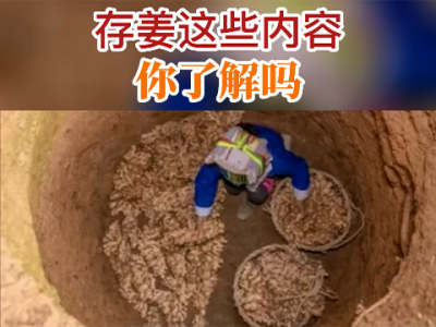 存姜这些内容你了解吗？ ()