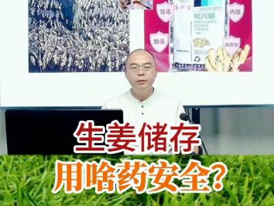 生姜储存用啥药安全？ ()