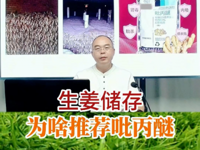 生姜储存为啥推荐吡丙醚？ ()