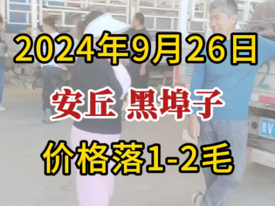 9月26日下午安丘黑埠子市场（价格落1-2毛） ()