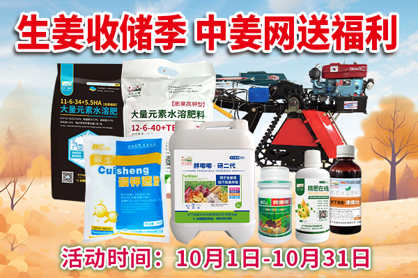 生姜收储季 中姜网送福利 ()