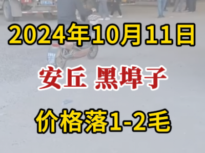 10月11日下午安丘黑埠子市场（价格落1-2毛） ()