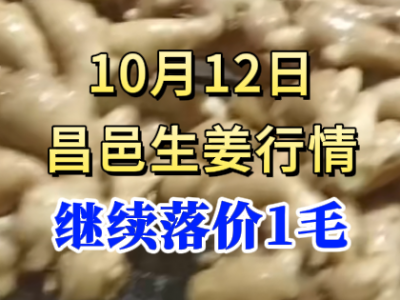 10月12日 昌邑大姜价格行情（继续落价1毛） ()