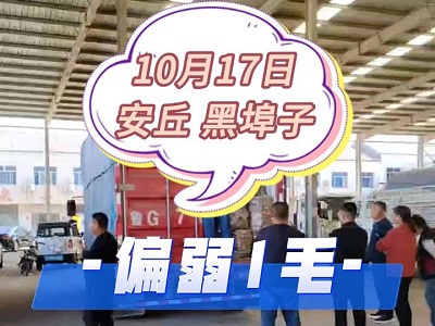 10月17日 安丘黑埠子市场（偏弱1毛） ()