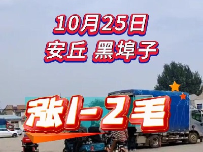 10月25日 安丘黑埠子（涨1-2毛） ()
