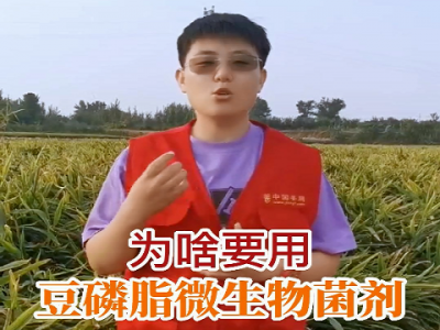 为啥要用豆磷脂微生物菌剂？ ()