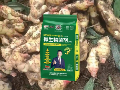 河南姜友大丰收 对天下良田·研二代·豆磷脂微生物菌剂赞不绝口 ()