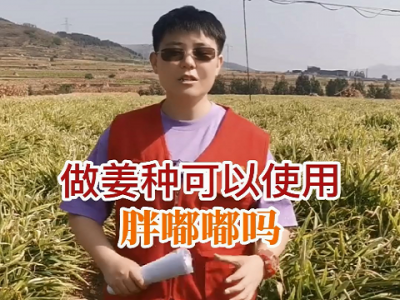 做姜种可以使用胖嘟嘟吗？ ()