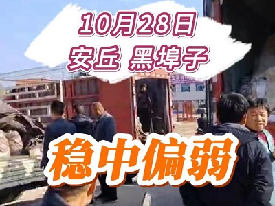 10月28日 安丘黑埠子（稳中偏弱） ()