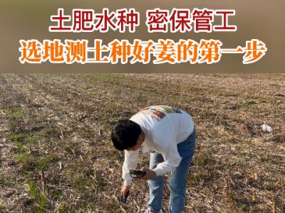 选地测土--种好姜的第一步 ()