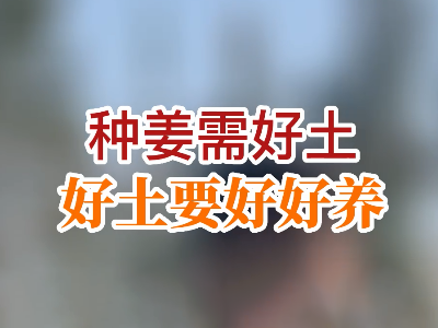 种姜需好土 好士要好好养 ()
