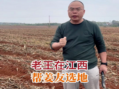 老王在江西帮姜友选地 ()