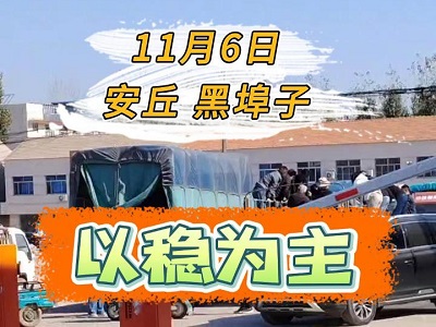 11月6日 安丘黑埠子（以稳为主） ()