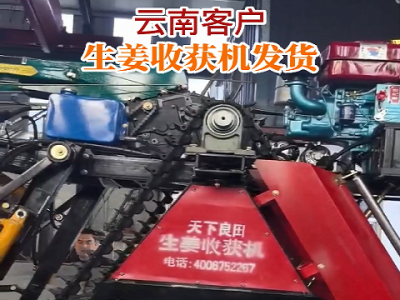 云南客户生姜收获机发货 ()