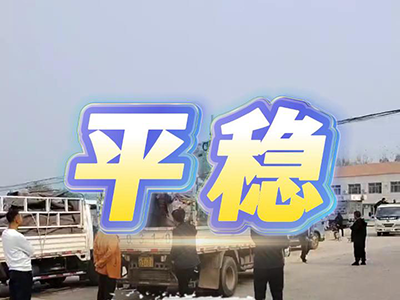 11月11日 安丘黑埠子（平稳） ()