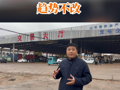 11月14日 安丘黑埠子（趋势不改） ()