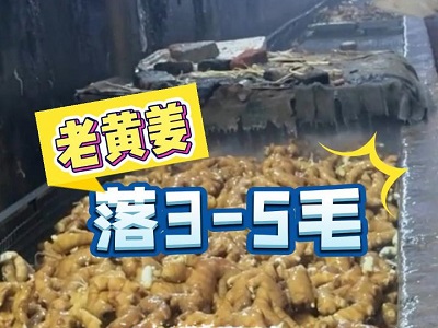 11月16日 生姜价格行情（老黄姜落3-5毛） ()