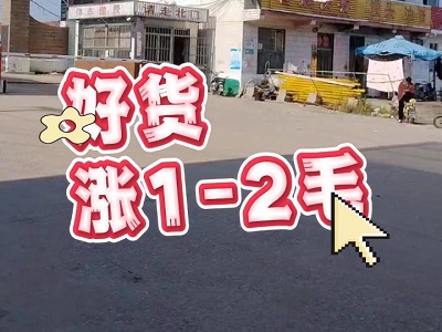 11月21日 安丘黑埠子（好货涨1-2毛） ()
