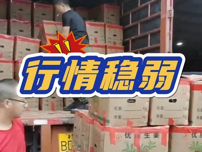 11月22日广州江南批发市场生姜价格行情 ()