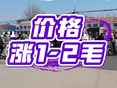 11月22日 安丘黑埠子（价格涨1-2毛） ()