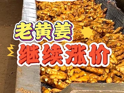 11月22日 生姜价格行情（老黄姜接着涨） ()