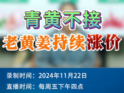 农情漫谈：青黄不接，老黄姜持续涨价！ ()