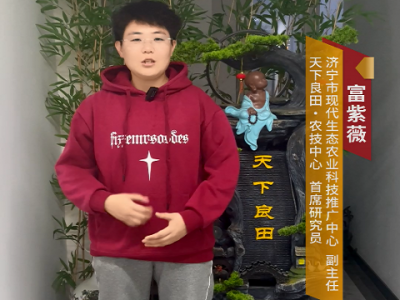 第二届中姜网姜农大会报名啦！ ()
