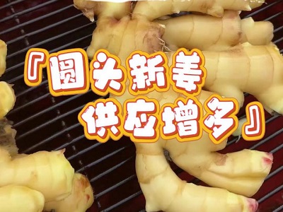 11月25日 生姜价格行情（圆头新姜供应增多） ()