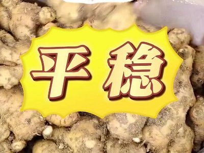 11月25日 安丘黑埠子（平稳） ()