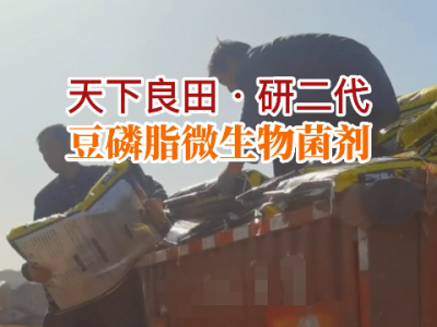 湖北姜友团购35吨豆磷脂微生物菌剂送货到家 ()