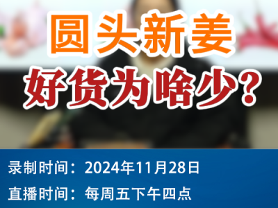 农情漫谈：圆头新姜好货为啥少？ ()