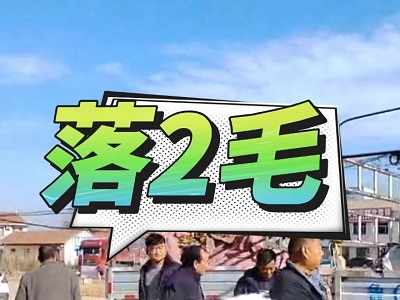 11月30日 安丘黑埠子（落2毛） ()