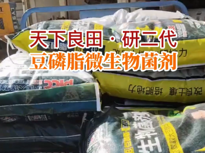 湖南姜友团购10吨豆磷脂微生物菌剂送货到家 ()