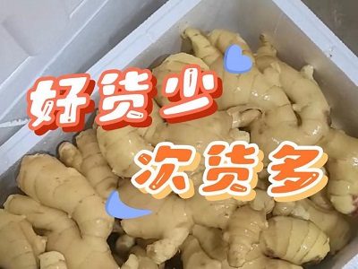 12月5日 生姜价格行情（好货少，次货多） ()
