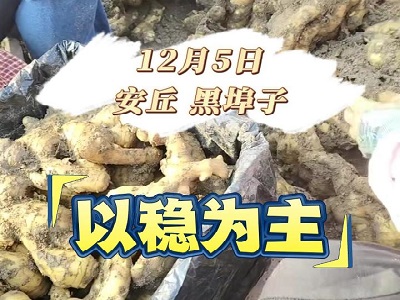 12月5日 安丘黑埠子（以稳为主） ()