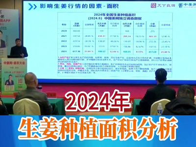2024年生姜种植面积分析 ()