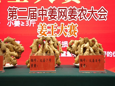 第二届中姜网姜农大会--姜王大赛 ()