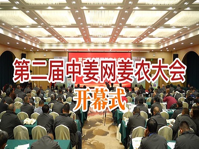 第二届中姜网姜农大会--开幕式 ()