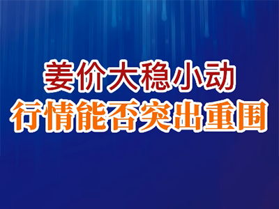 老石说姜：姜价大稳小动 行情能否突出重围？ ()