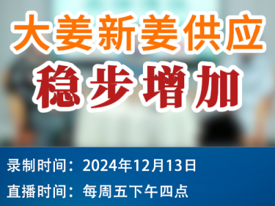 农情漫谈：大姜新姜供应稳步增加 ()