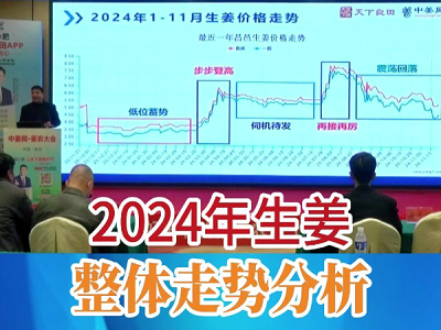 2024年生姜整体走势分析 ()