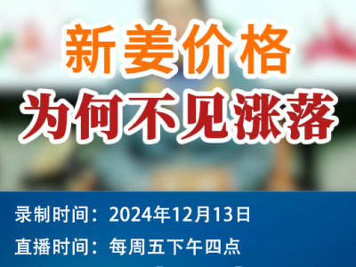 农情漫谈：新姜价格为何不见涨落？ ()