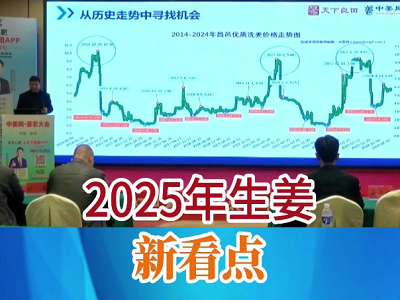 2025年生姜新看点 ()
