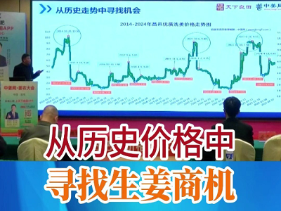 从历史价格中寻找生姜商机 ()